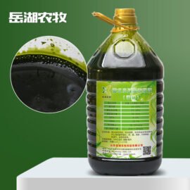 Concentrated solution of seawater microalgae (live)
