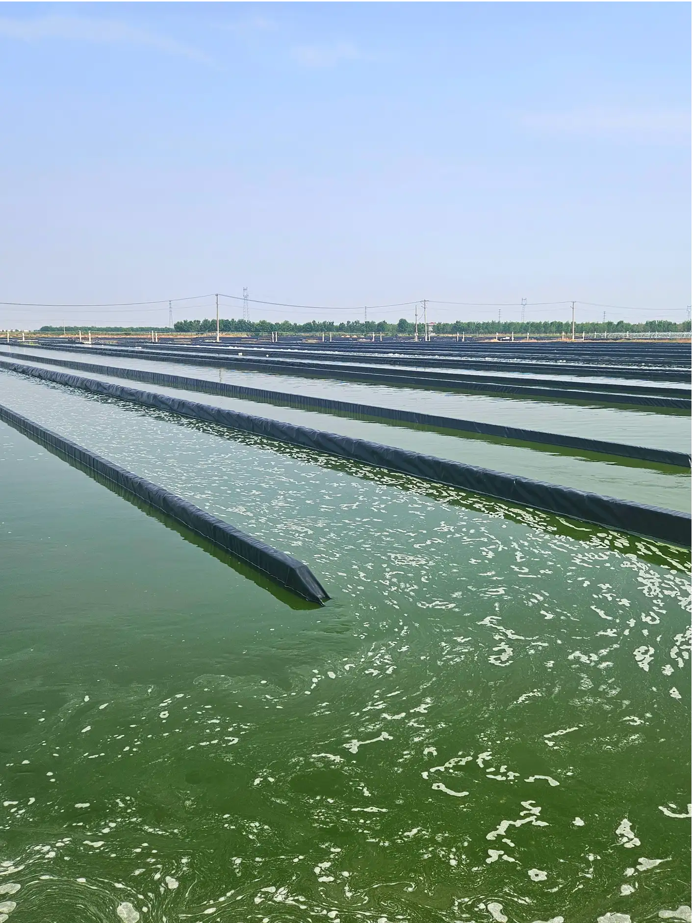 微信图片_202507191546491@3x_结果