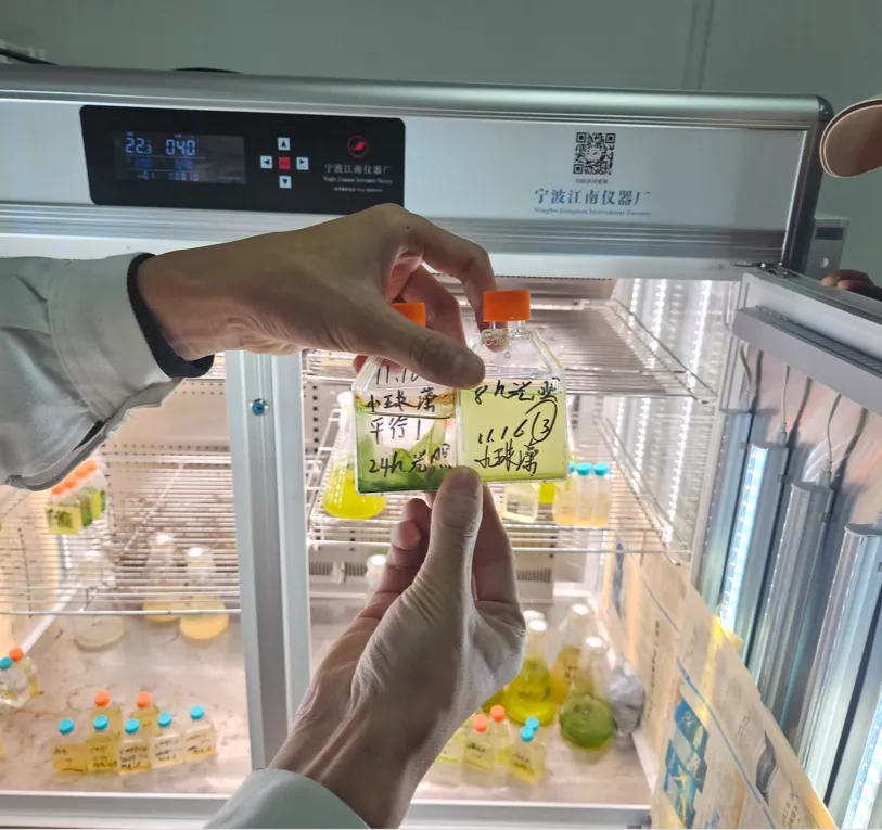 微信图片_202507191719291@3x