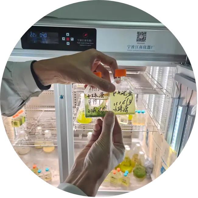 微信图片_202507191719291@3x_结果