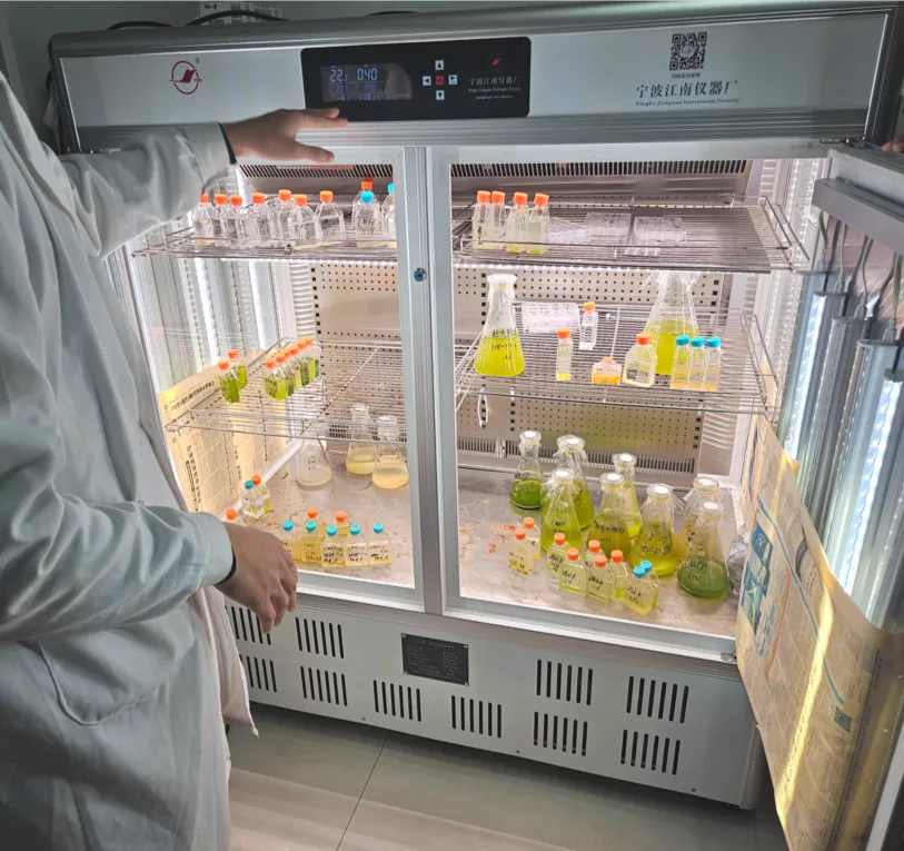 微信图片_20250719171930@3x