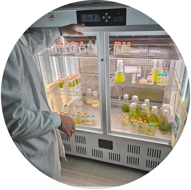 微信图片_20250719171930的副本@3x_结果